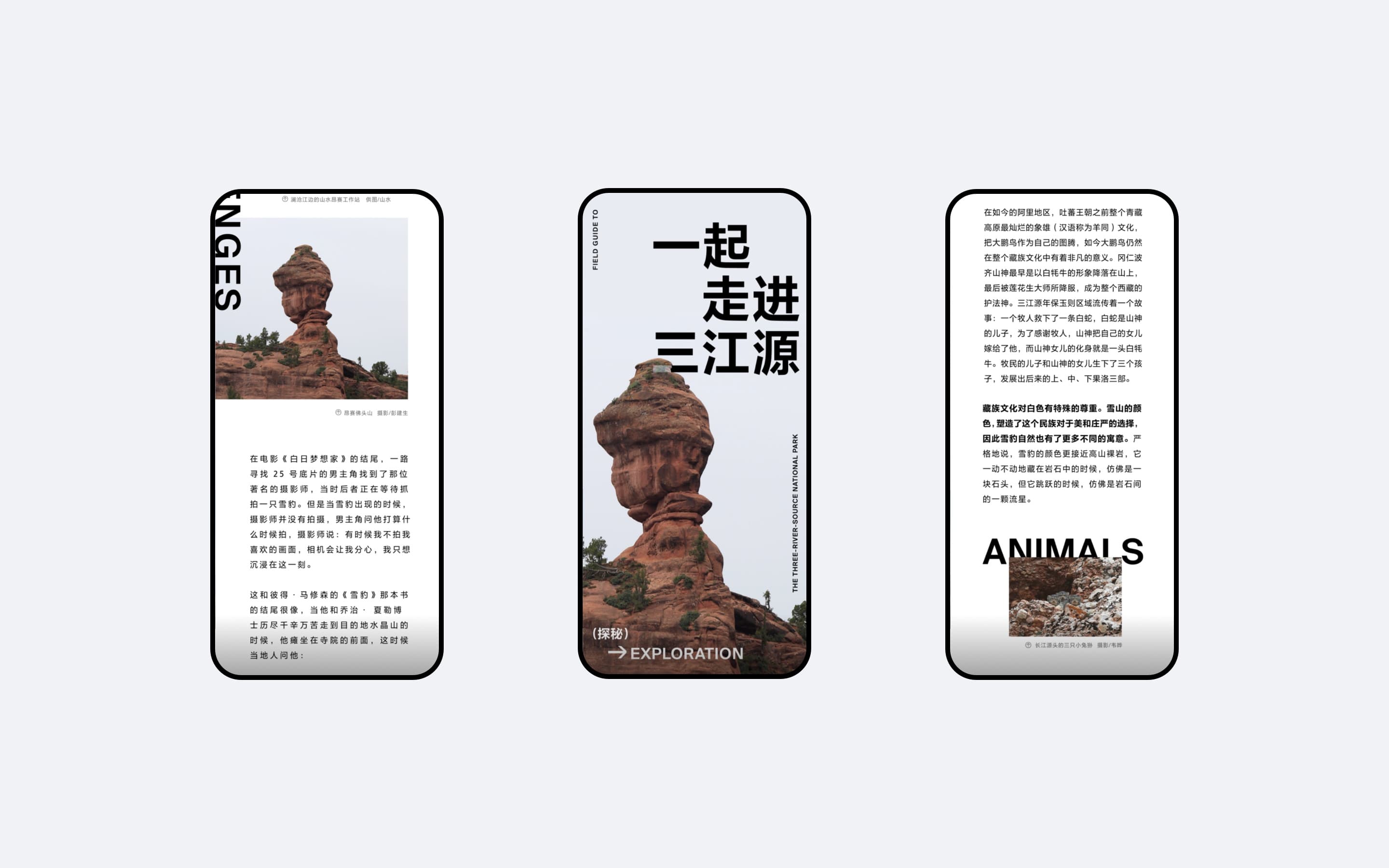 案例图