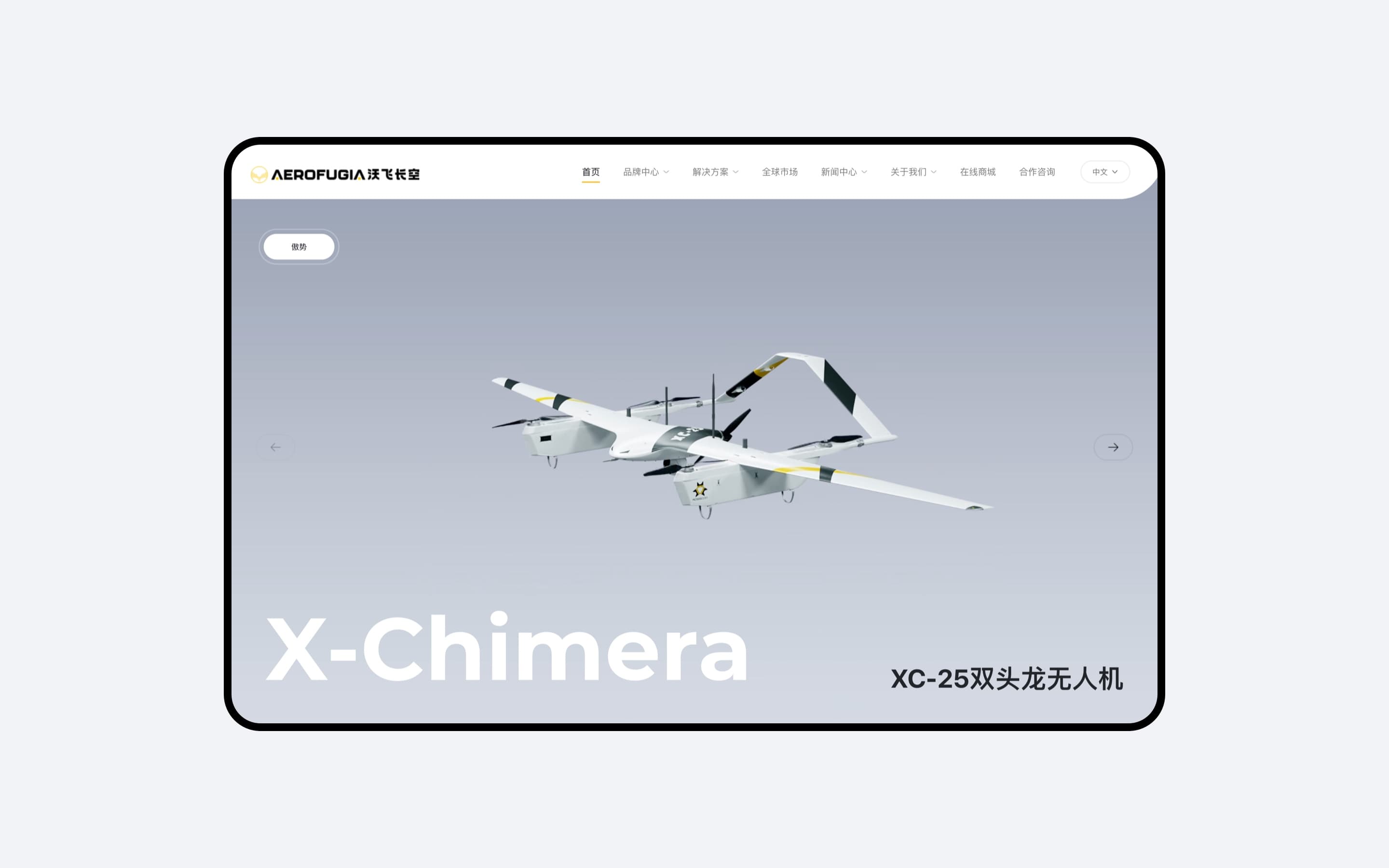 案例图